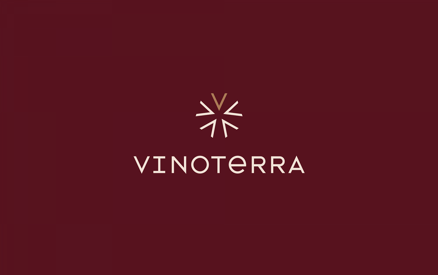 Vinoterra: креативная идея и айдентика для импортера вин и крепкого алкоголя - Портфолио Depot