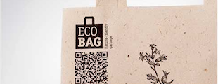 Нашумевший кейс Ecobag в качестве инновационного экологического решения для Москвы