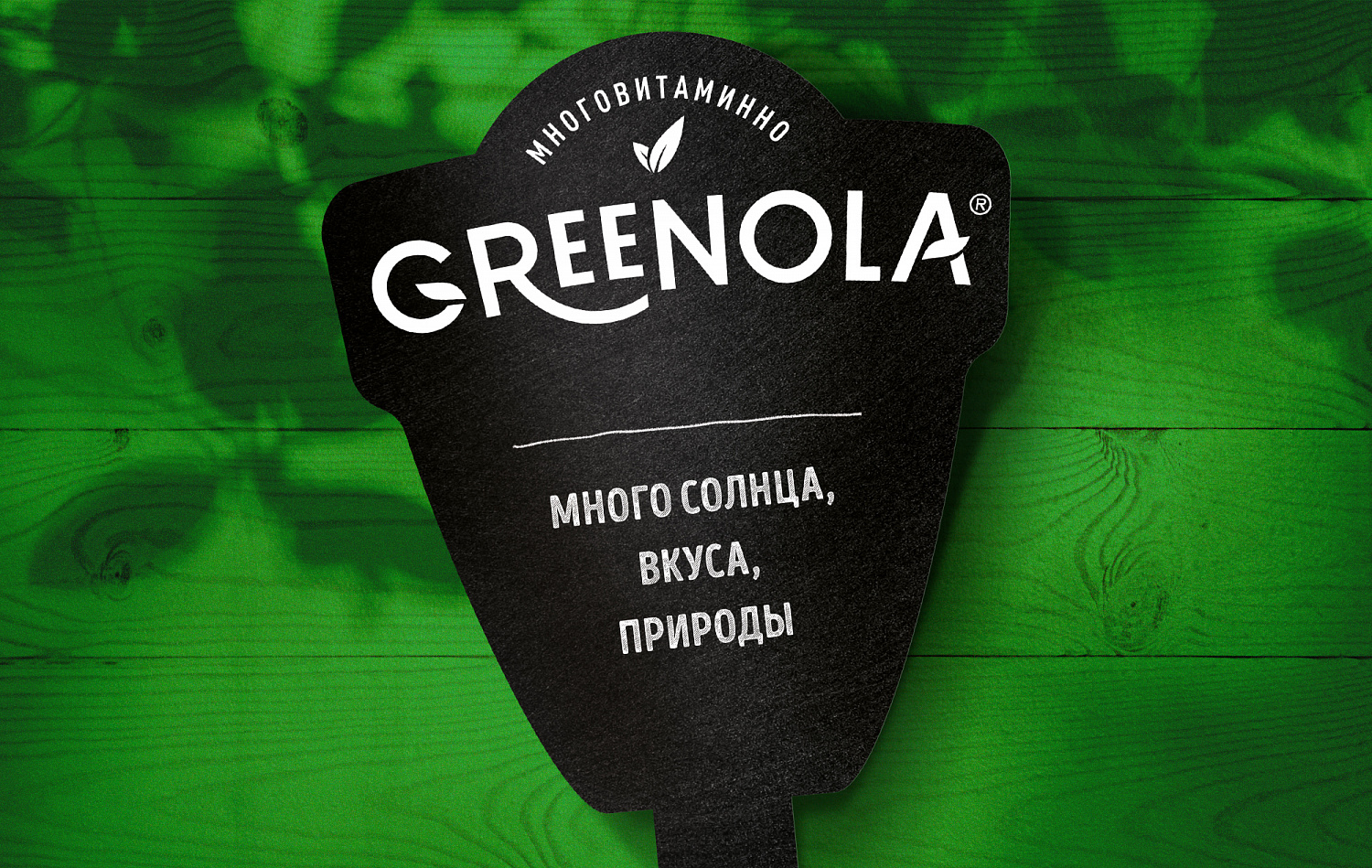 Greenola: нейминг и визуальный стиль СТМ Чижика - Портфолио Depot