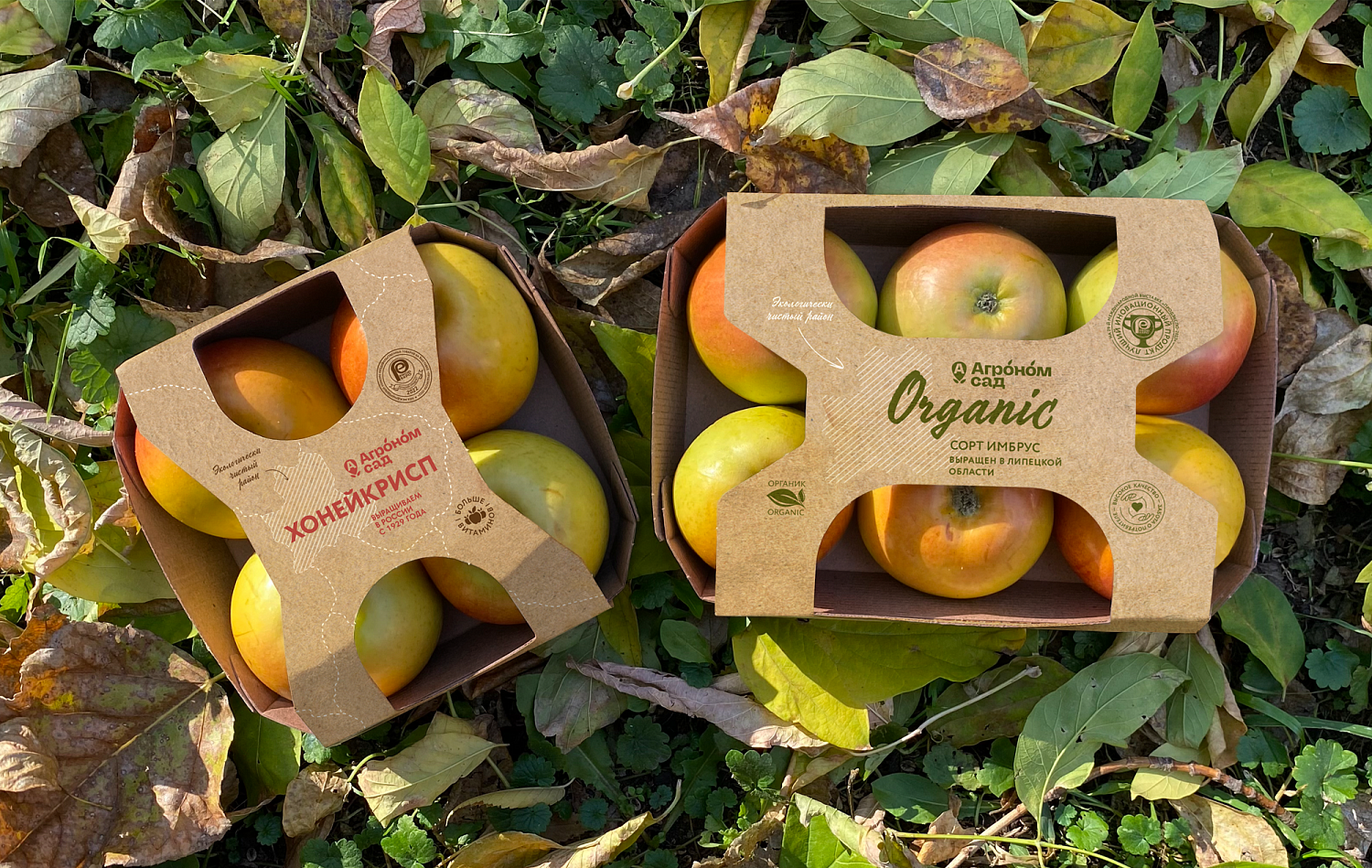 Агроном-сад: Дизайн упаковки для товаров агропромышленной компании - Портфолио Depot