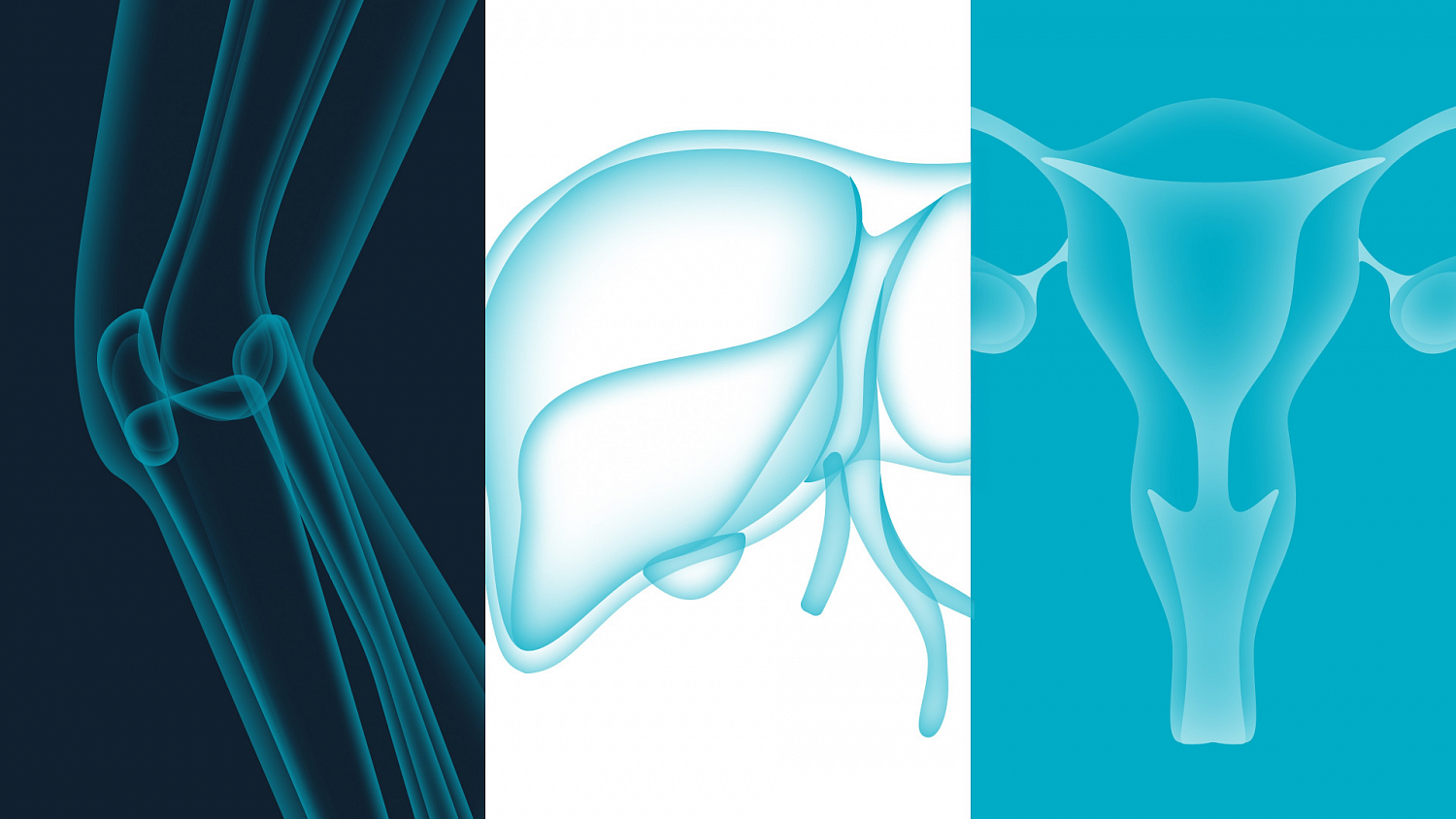 INVITRO: ребрендинг сети медицинских клиник - Портфолио Depot