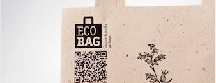 Нашумевший кейс Ecobag в качестве инновационного экологического решения для Москвы Нашумевший кейс Ecobag в качестве инновационного экологического решения для Москвы