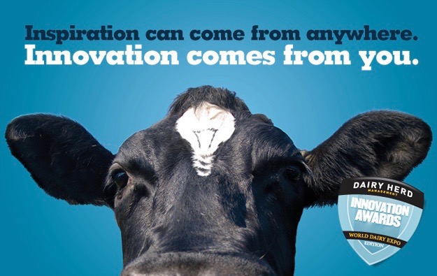 world dairy innovation awards 2016, anna lukanina, branding, depot wpf, glba