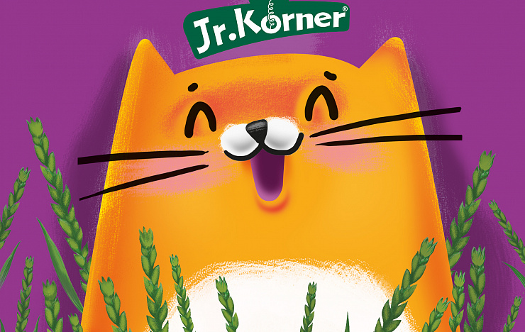 Dr. Körner - Портфолио Depot