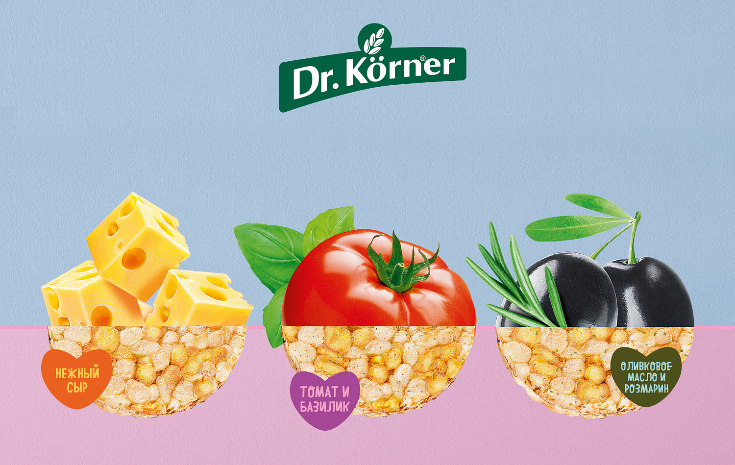 Dr. Körner - Портфолио Depot