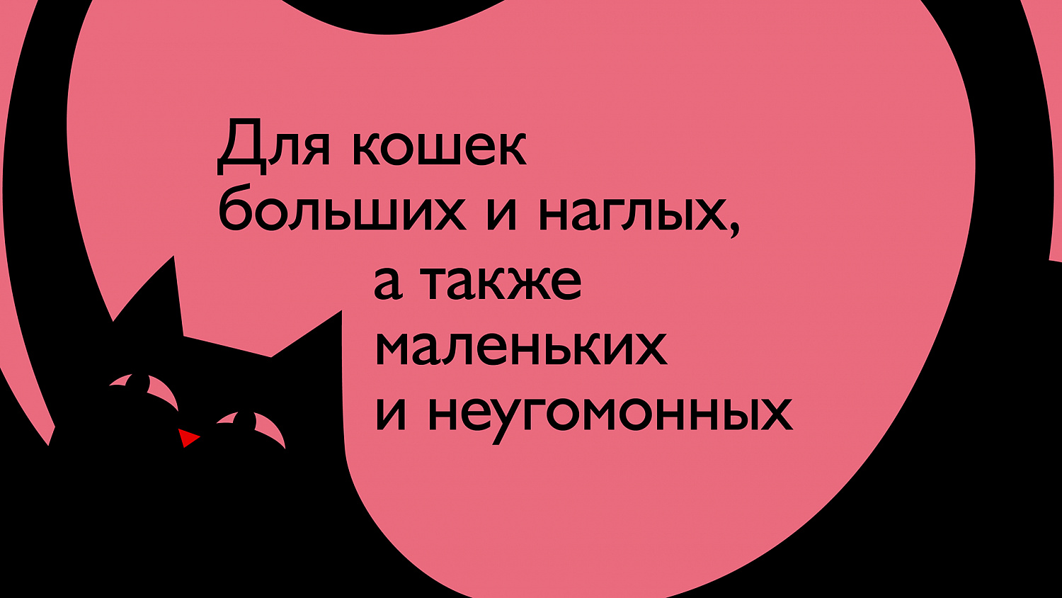 ENSO - Портфолио Depot