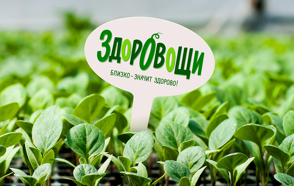 Здоровощи: позиционирование и визуальная система бренда овощей - Портфолио Depot