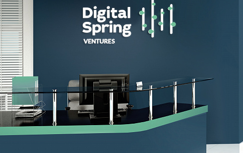 Digital Spring Ventures. Финбрендинг