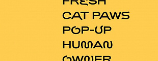 «Не классические кошачьи мордочки»: дизайнеры создали шрифт из кошачьих хвостов