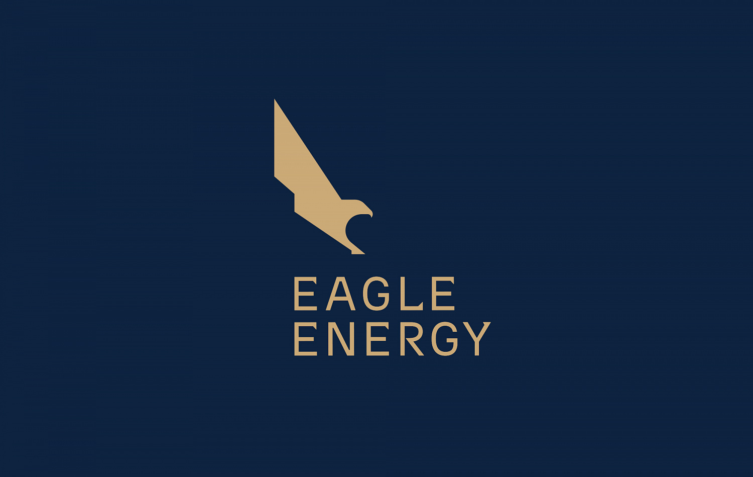 Eagle Energy: Фирменный стиль трейдинговой компании - Портфолио Depot