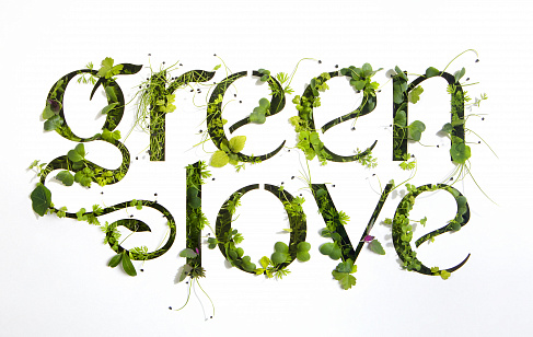Green Love: Дизайн этикетки и упаковки бытовой химии