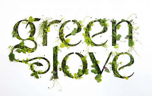 Green Love: Дизайн упаковки бытовой химии. Разработка дизайна упаковки