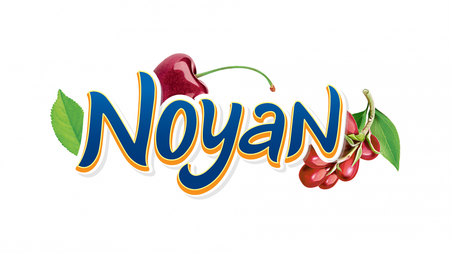 Noyan - Портфолио Depot