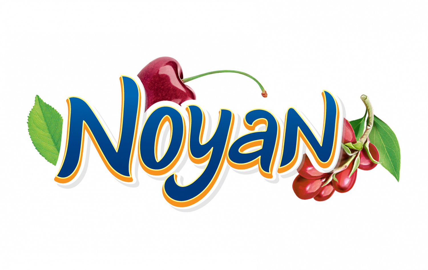 Noyan - Портфолио Depot