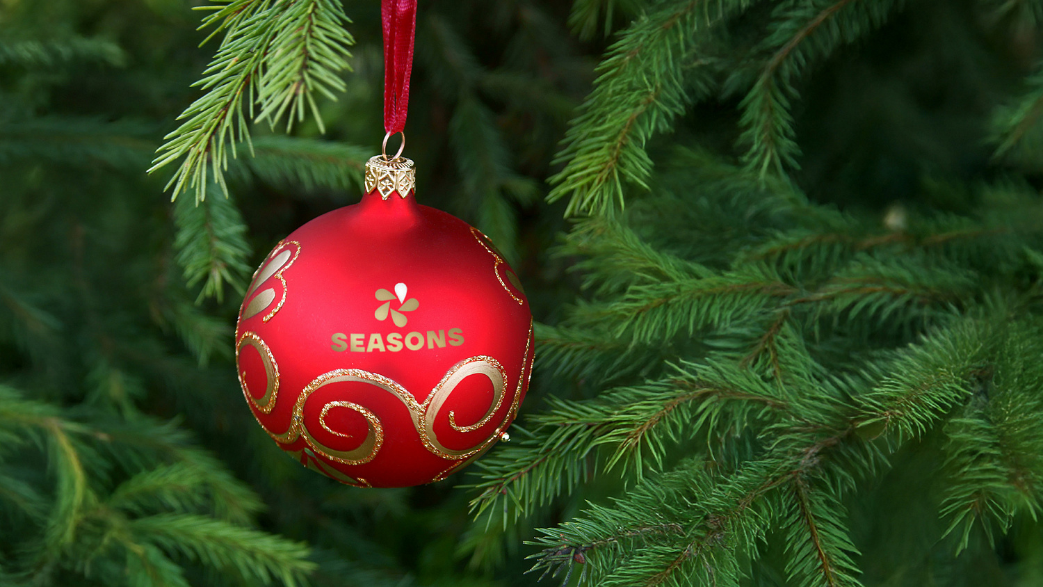 Seasons: брендинг «пятого сезона» от Пятёрочки  - Портфолио Depot