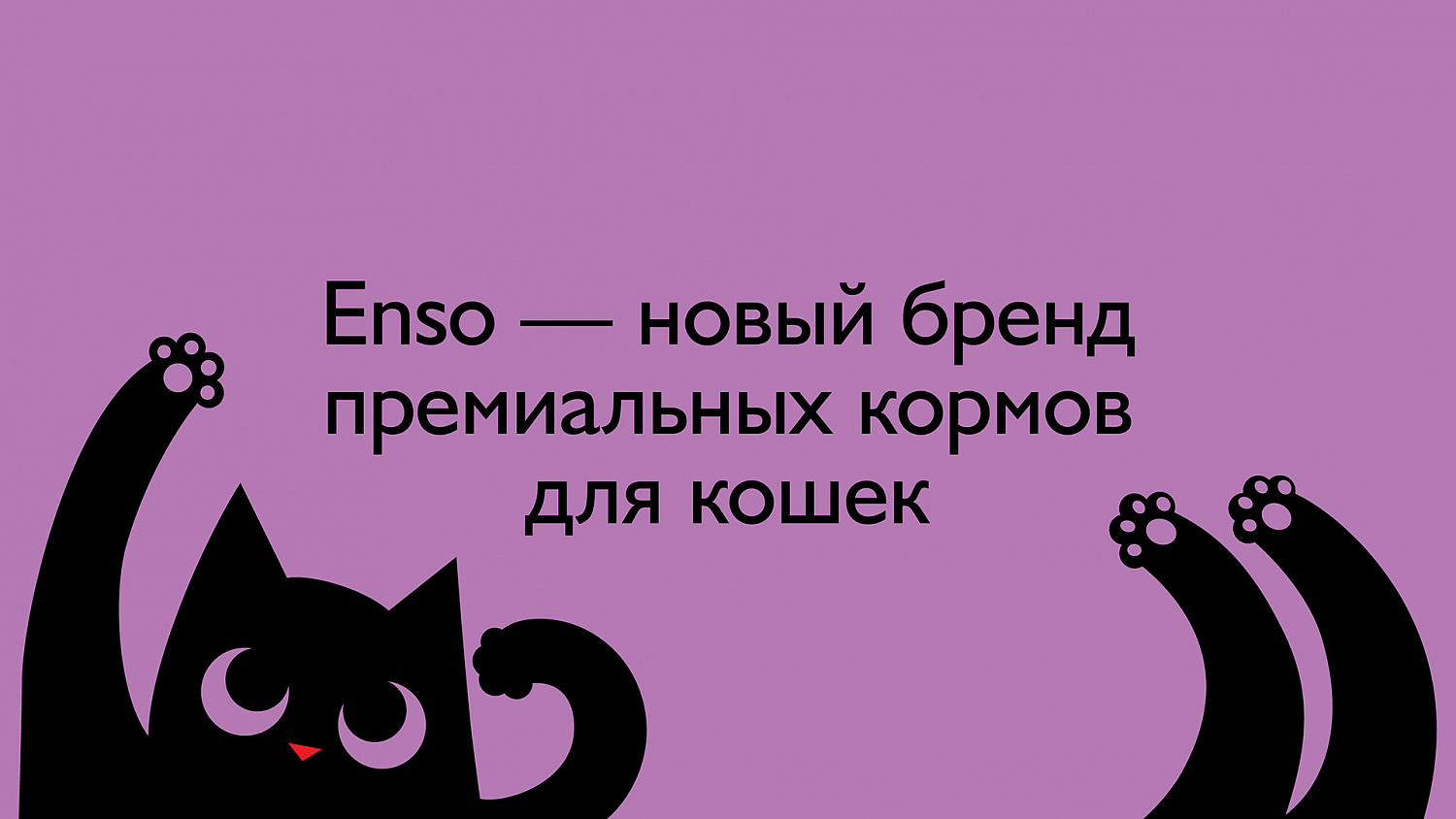 ENSO - Портфолио Depot
