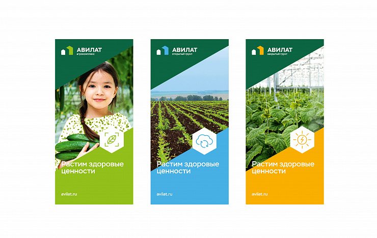Авилат - Портфолио Depot