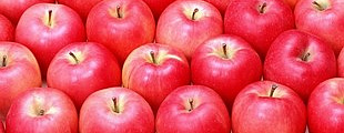 Анонс: в Москве стартует Red Apple