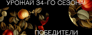 Попали прямо в яблочко! Попали прямо в яблочко!