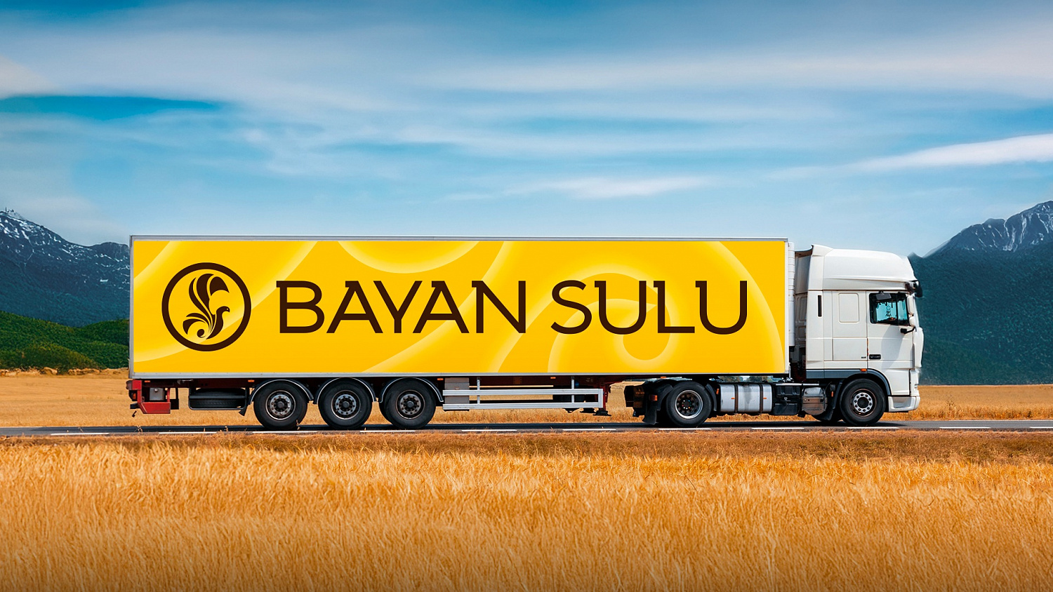 Bayan Sulu: ребрендинг кондитерской фабрики в Казахстане - Портфолио Depot