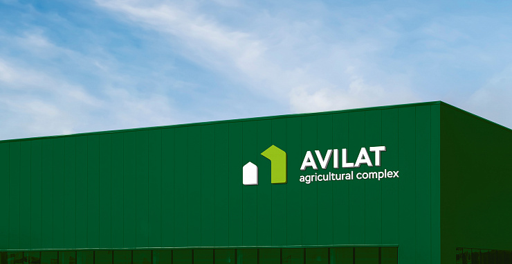 Авилат - Портфолио Depot