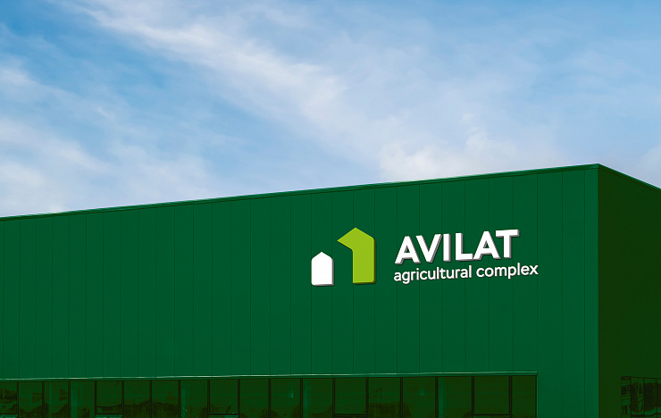 Авилат - Портфолио Depot
