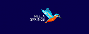 Depot создали визуальный стиль для Neela Springs Depot создали визуальный стиль для Neela Springs