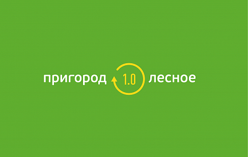 «Пригород Лесное». Разработка коммуникационной стратегии бренда