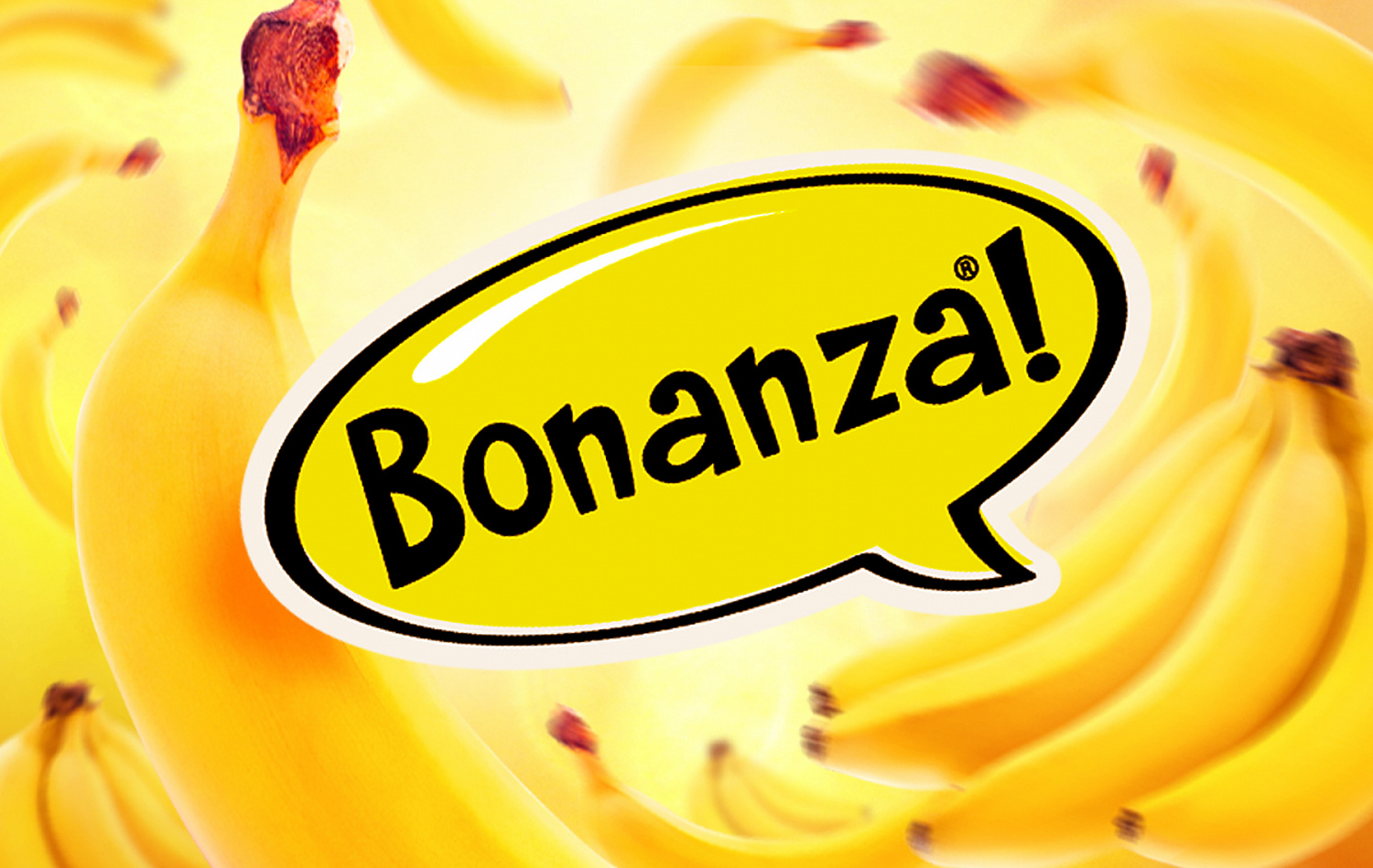 Bonanza - Портфолио Depot