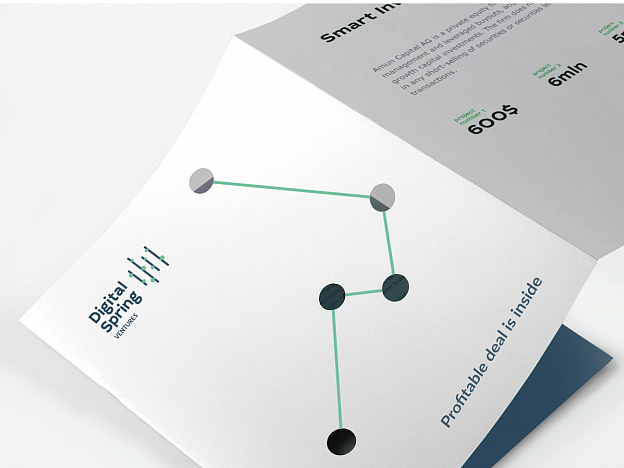 Digital Spring Ventures - Портфолио Depot