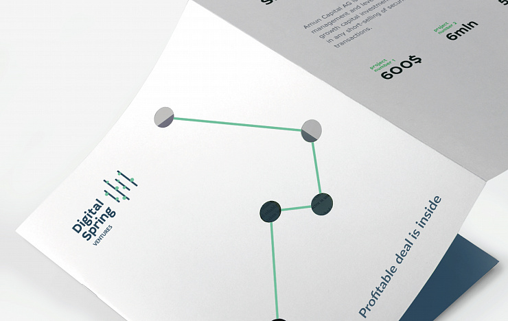 Digital Spring Ventures - Портфолио Depot