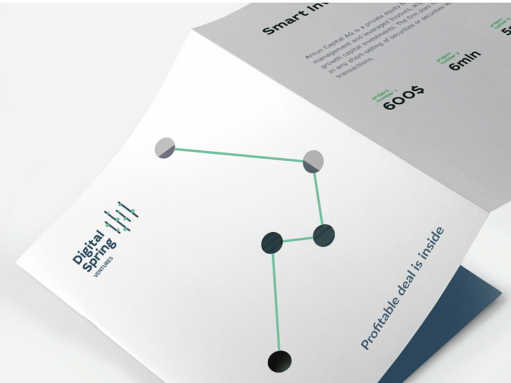 Digital Spring Ventures - Портфолио Depot