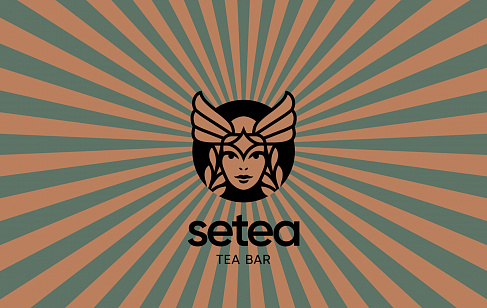 Setea. Разработка брендбука