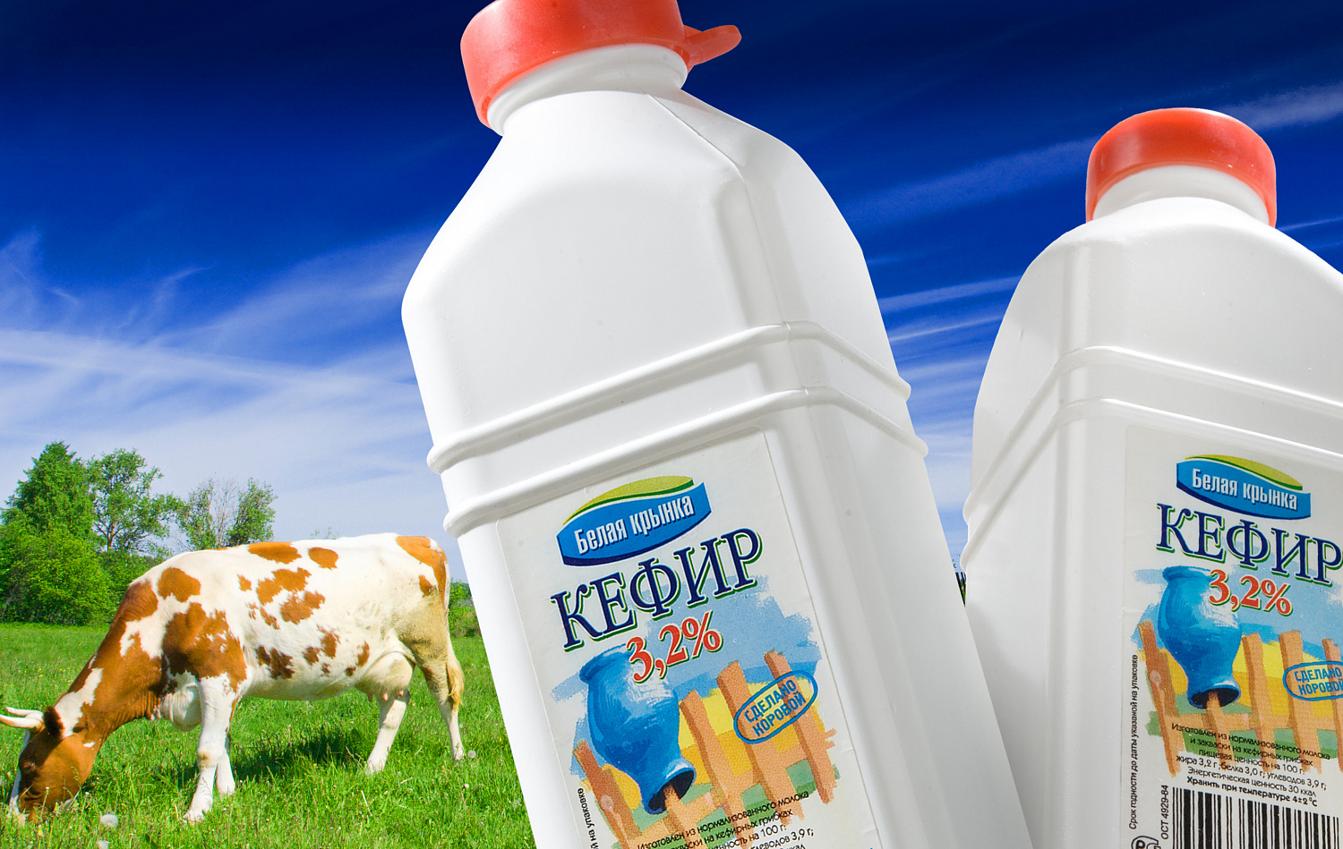 «Белая крынка» - Портфолио Depot