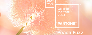 Как использовать цвет года от Pantone в дизайне и брендинге в 2024 году Как использовать цвет года от Pantone в дизайне и брендинге в 2024 году