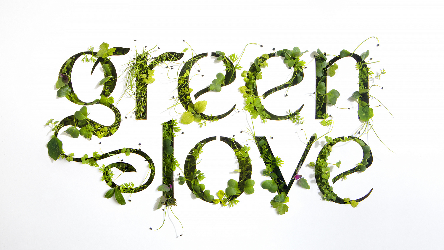 Green Love - Портфолио Depot