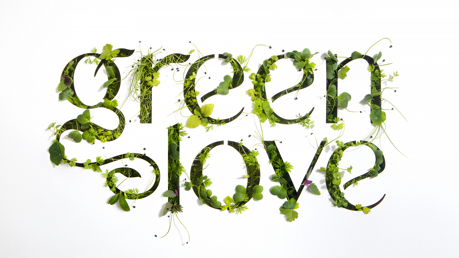 Green Love: Дизайн упаковки бытовой химии - Портфолио Depot