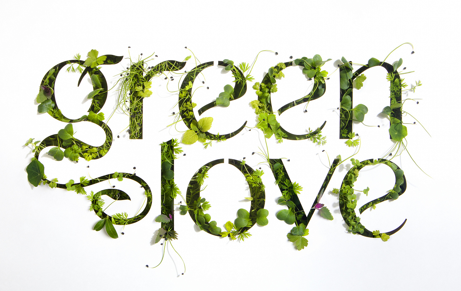 Green Love - Портфолио Depot