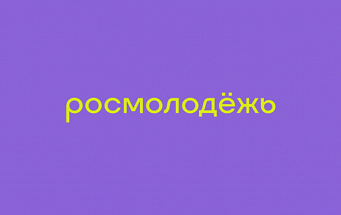 Росмолодёжь: позиционирование, коммуникационная стратегия, архитектура и фирменный стиль. Разработка позиционирования