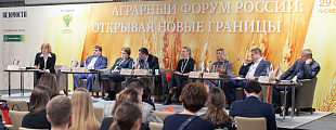 Российская зеленая продукция Российская зеленая продукция