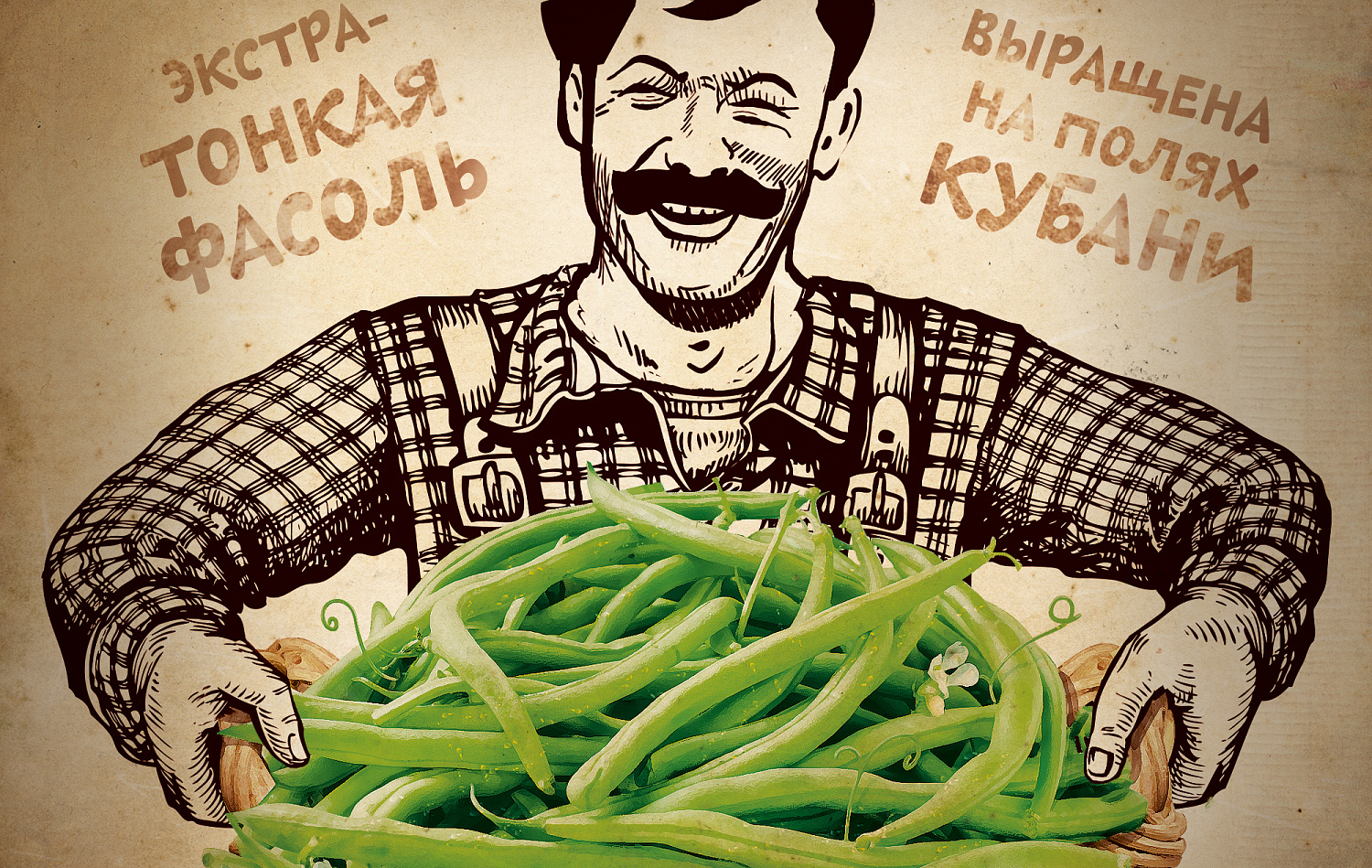 Замороженная фасоль Bonduelle - Портфолио Depot
