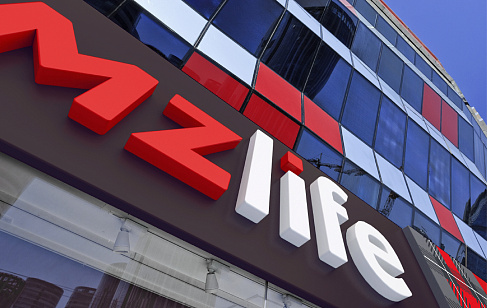 MZlife. Нейминг. Разработка названия бренда